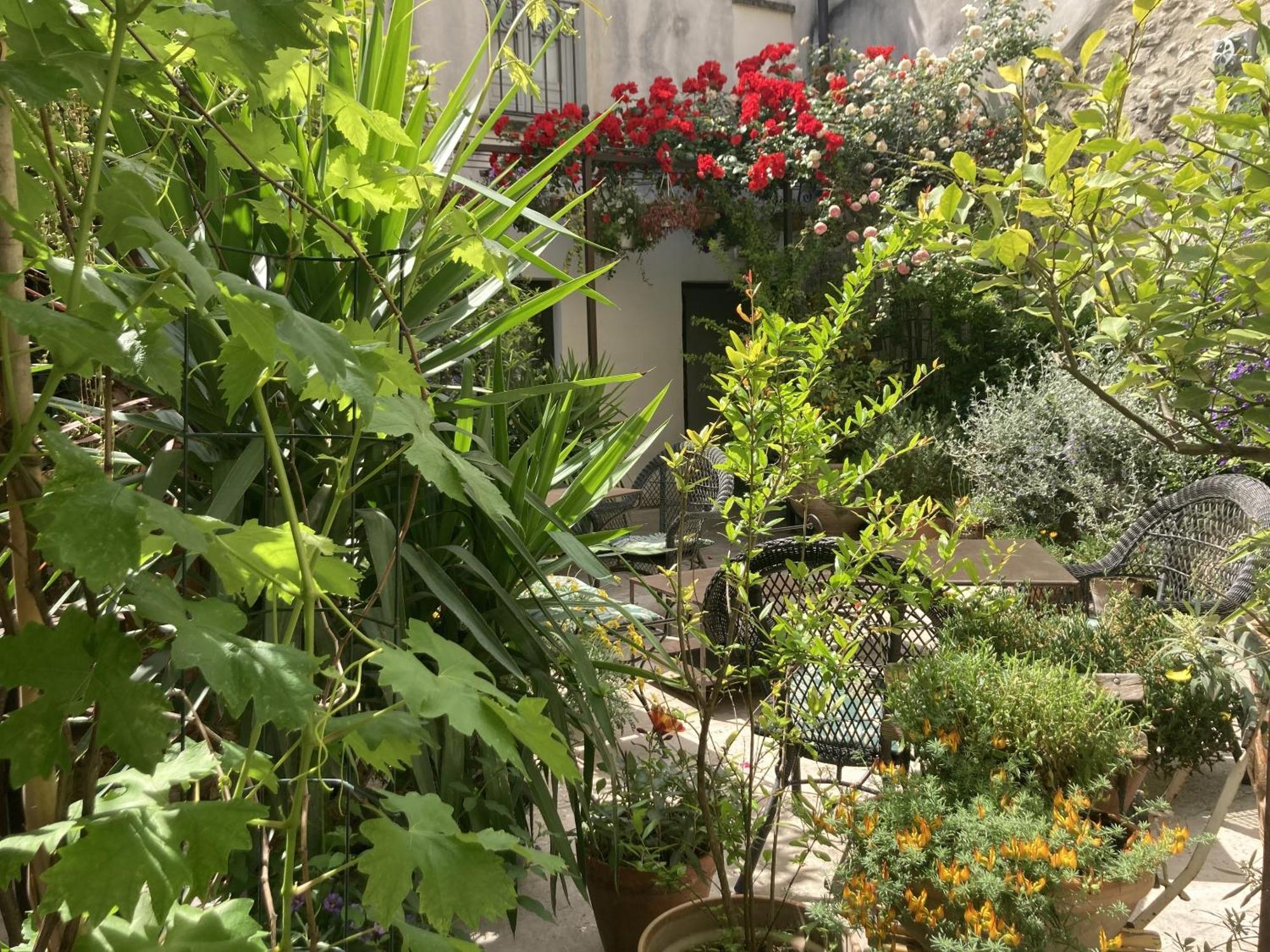 La Maison Des Augustins 4 Stars Et Fitness Bed & Breakfast Avignon