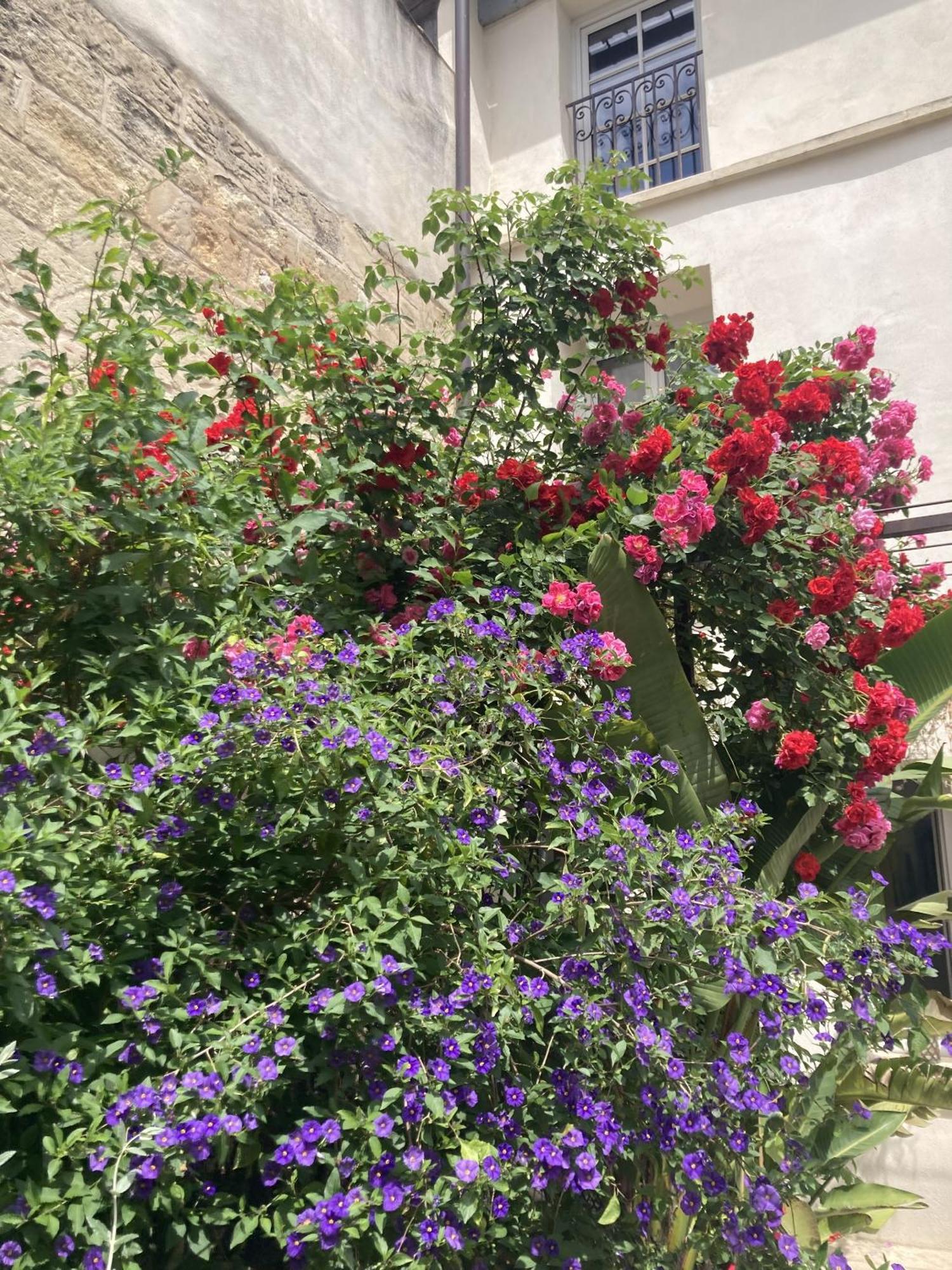 La Maison Des Augustins 4 Stars Et Fitness Avignon